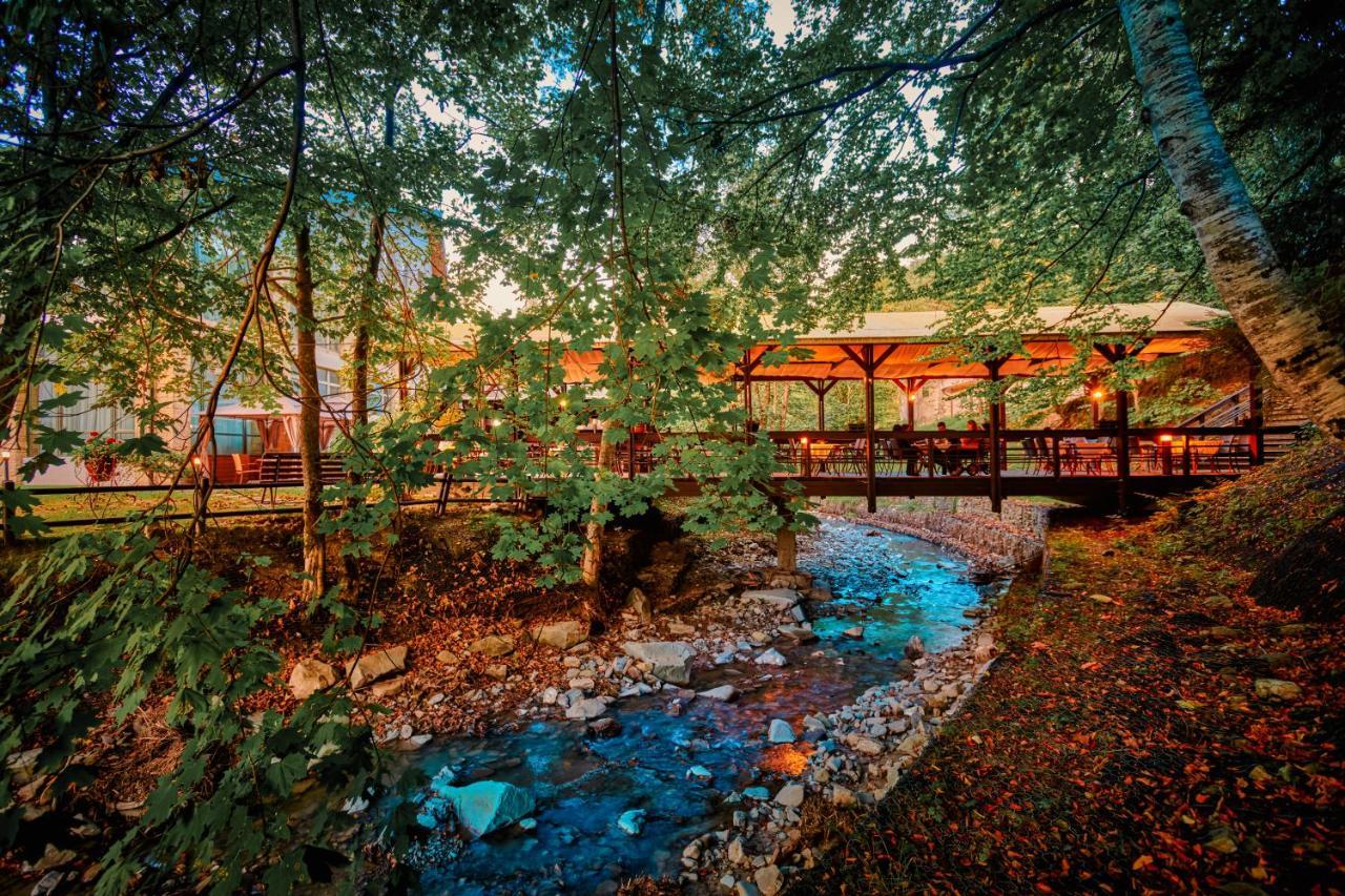 Hotel & Restaurant Sofia Sucevita Exterior photo