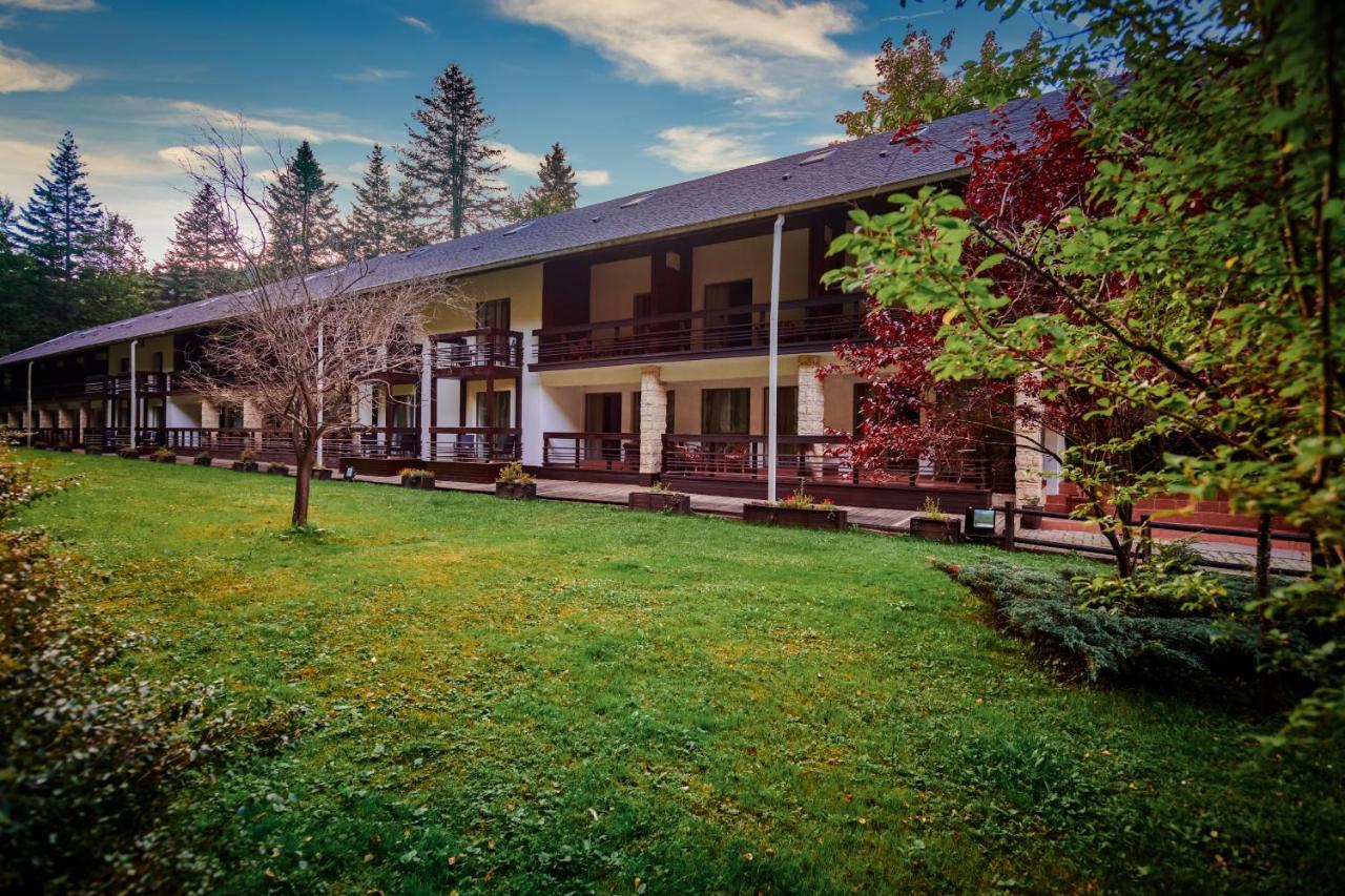 Hotel & Restaurant Sofia Sucevita Exterior photo